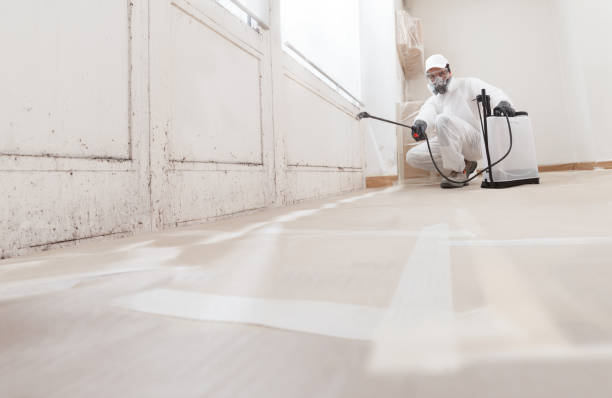 24/7 Emergency Crawl Space Mold Removal experts in Glenview, IL