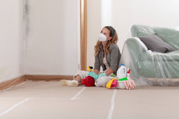 Reliable Crawl Space Mold Removal contractor in Glenview, IL by WQB Mold Removal